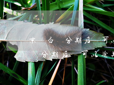京東白條分期后還可以逾期還款嗎-京東白條分期后還可以逾期還款嗎