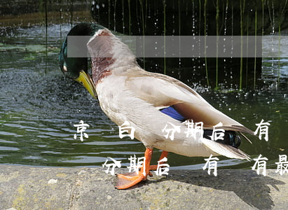 京東白條分期后還有沒有最低還款-京東白條分期后還有沒有最低還款額