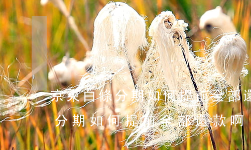 京東白條分期如何提前全部還款-京東白條分期如何提前全部還款啊