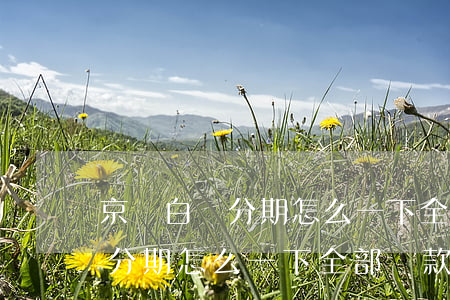 京東白條分期怎么一下全部還款-京東白條分期怎么一下全部還款了
