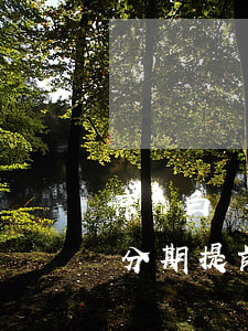 京東白條分期提前還款付違約金-京東白條分期提前還款付違約金嗎