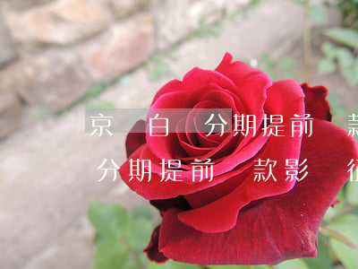 京東白條分期提前還款影響征信-京東白條分期提前還款影響征信嗎