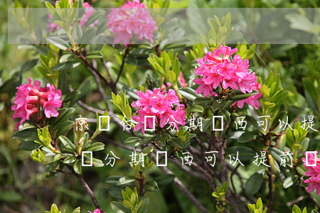 京東白條分期東西可以提前還款嗎-京東白條分期東西可以提前還款嗎安全嗎