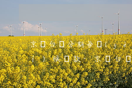 京東白條分期每個(gè)月什么時(shí)候還款-京東白條分期每個(gè)月什么時(shí)候還款最好