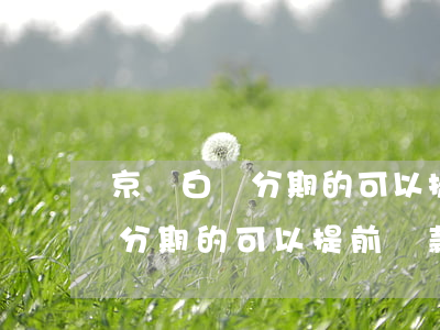 京東白條分期的可以提前還款嗎-京東白條分期的可以提前還款嗎安全嗎