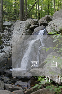 京東白條分期的怎么樣一次性還款-京東白條分期如何一次性還款
