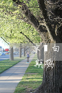 京東白條分期逾期一個月（京東白條分期算逾期嘛）