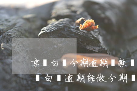 京東白條分期逾期還款會(huì)怎樣 京東白條逾期能做分期還款嗎