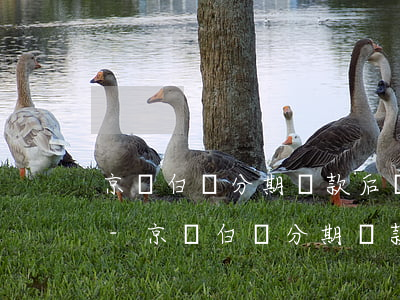 京東白條分期還款后額度會恢復(fù)嗎-京東白條分期還款后額度會恢復(fù)嗎安全嗎