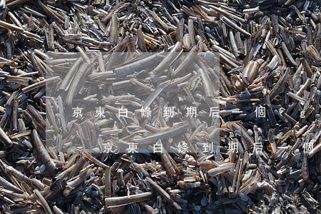 京東白條到期后一個(gè)月還款可以嗎-京東白條到期后一個(gè)月還款可以嗎安全嗎