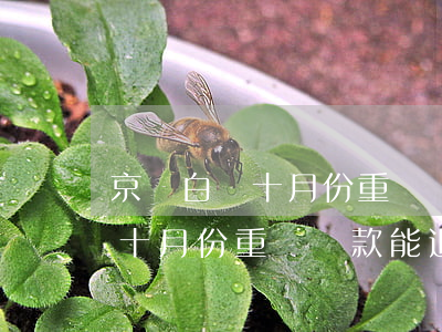京東白條十月份重復還款能退么-京東白條十月份重復還款能退么嗎