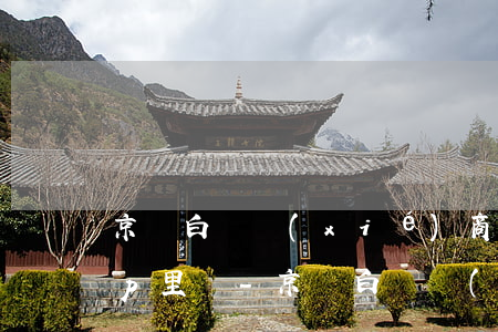 京東白條協(xié)商還款是不是在app里還?-京東白條協(xié)商還款有成功的不