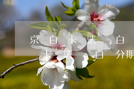京東白條卡無法參與白條分期免息-京東白條卡無法參與白條分期免息怎么辦