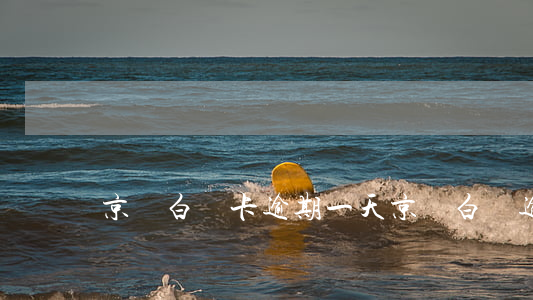 京東白條卡逾期一天(京東白條逾期一小時)