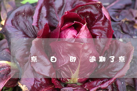 京東白條即將逾期了(京東白條逾期了會被訴訟嗎)