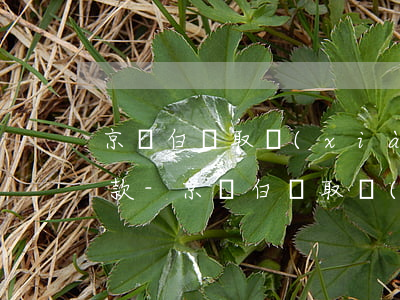 京東白條取現(xiàn)3000怎么還款-京東白條取現(xiàn)3000怎么還款的