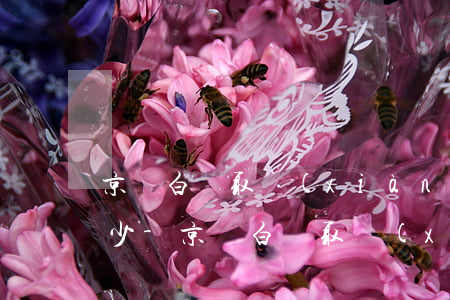 京東白條取現(xiàn)可以最低還款多少-京東白條取現(xiàn)可以最低還款嗎?