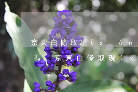 京東白條取現(xiàn)提前還款有利息嗎-京東白條取現(xiàn)提前還款有利息嗎多少