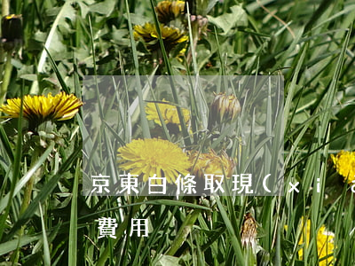 京東白條取現(xiàn)提前還款要不要費用