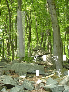 京東白條取現(xiàn)的可以最低還款嗎-京東白條取現(xiàn)的可以最低還款嗎安全嗎