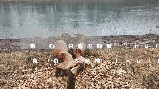 京東白條只要逾期就會(huì)上征信嗎(京東白條不逾期會(huì)上征信嗎)