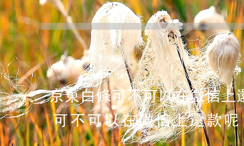 京東白條可不可以在微信上還款-京東白條可不可以在微信上還款呢
