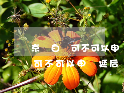 京東白條可不可以申請延后還款-京東白條可不可以申請延后還款呢