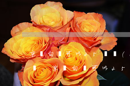 京東白條可以25號當(dāng)天還款嗎-京東白條可以25號當(dāng)天還款嗎
