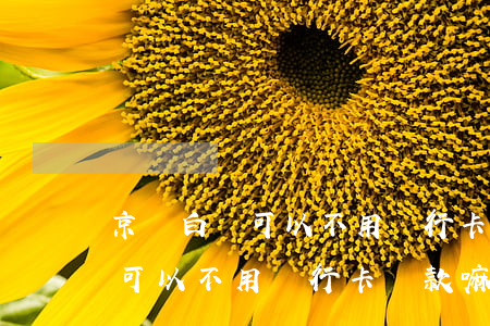 京東白條可以不用銀行卡還款嘛-京東白條可以不用銀行卡還款嘛安全嗎