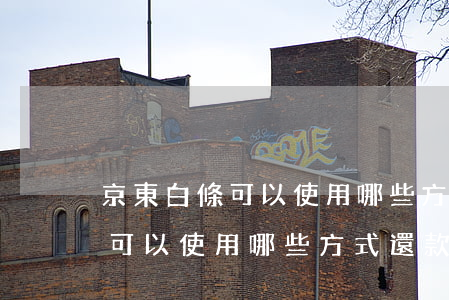 京東白條可以使用哪些方式還款-京東白條可以使用哪些方式還款呢