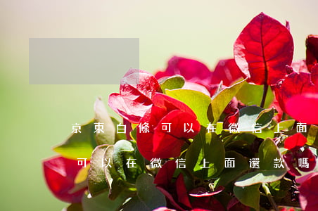 京東白條可以在微信上面還款嗎-京東白條可以在微信上面還款嗎安全嗎