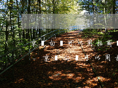 京東白條可以用招商儲(chǔ)蓄卡還款-京東白條可以用招商儲(chǔ)蓄卡還款嗎