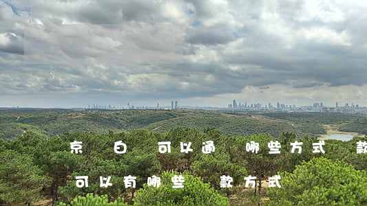 京東白條可以通過哪些方式還款-京東白條可以有哪些還款方式
