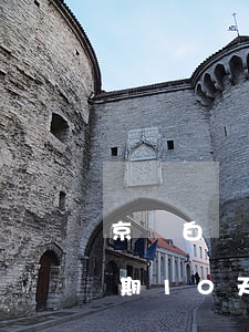 京東白條可以逾期10天-京東白條可以逾期10天