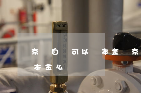 京東白條可以還本金嗎（京東白條能申請只還本金么）