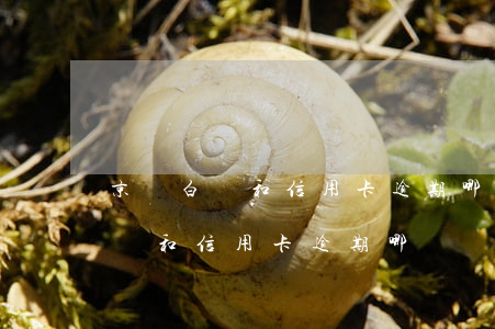 京東白條和信用卡逾期哪個嚴重點-京東白條和信用卡逾期哪個嚴重點啊