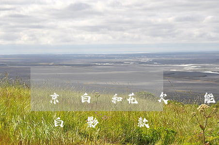 京東白條和花唄欠車貸能貸嗎(用花唄和京東白條影響貸款嗎)