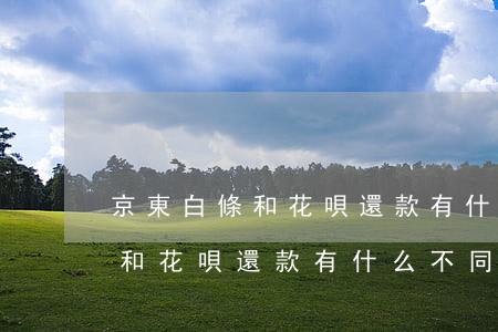 京東白條和花唄還款有什么不同-京東白條和花唄還款有什么不同嗎