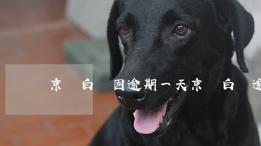 京東白條因逾期一天(京東白條逾期一小時)