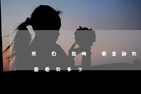 京東白條在哪兒看全部欠的款(京東白條怎么查看欠多少錢)