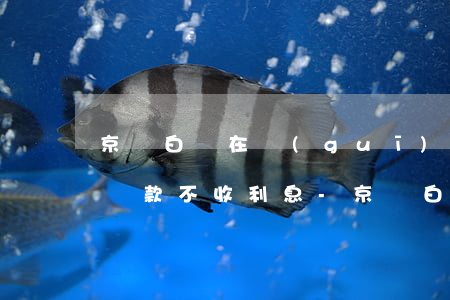 京東白條在規(guī)定時(shí)間還款不收利息-京東白條在規(guī)定時(shí)間還款不收利息嗎