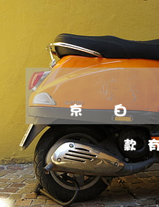 京東白條多長(zhǎng)時(shí)間還款有利息嗎-京東白條多少時(shí)間還款