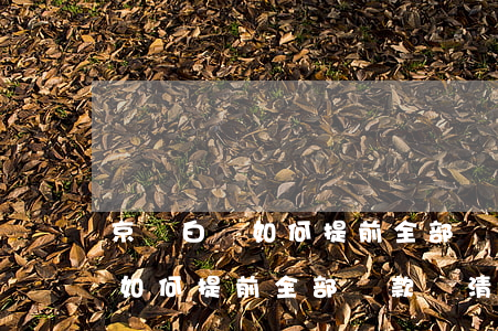 京東白條如何提前全部還款還清-京東白條如何提前全部還款還清