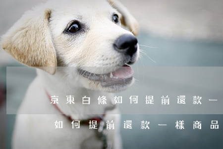 京東白條如何提前還款一樣商品-京東白條如何提前還款一樣商品的錢