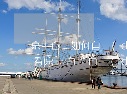 京東白條如何自動(dòng)還款，小白必看：京東白條自動(dòng)還款操作指南