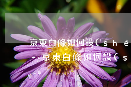 京東白條如何設(shè)置自動還款日期-京東白條如何設(shè)置自動還款日期和時間