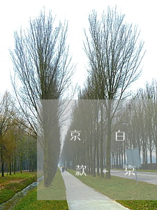 京東白條如何還清當(dāng)月最低還款-京東白條如何還清當(dāng)月最低還款額
