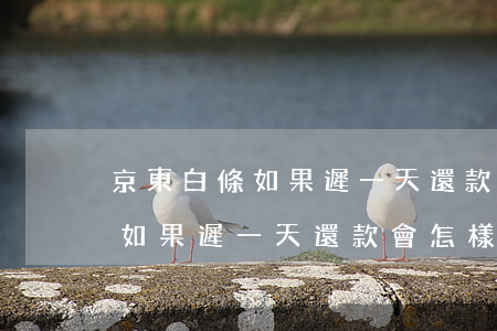 京東白條如果遲一天還款會怎樣-京東白條如果遲一天還款會怎樣處理