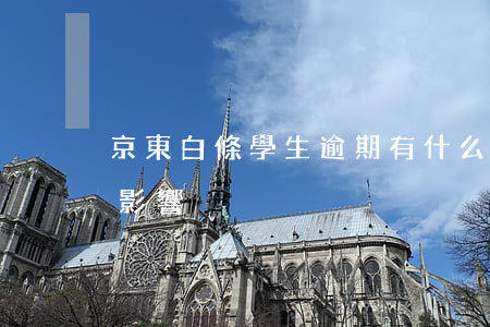 京東白條學生逾期有什么后果(京東白條逾期影響)