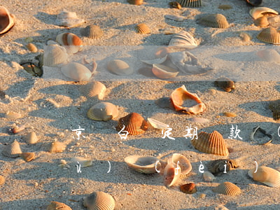 京東白條定期還款會(huì)扣手續(xù)費(fèi)嗎-京東白條定期還款會(huì)扣手續(xù)費(fèi)嗎安全嗎